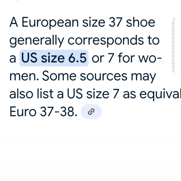 Zara Brown Woven Slip On Mules Slides With Bows Dress Shoes Women’s Size 37 6.5 - Picture 11 of 11